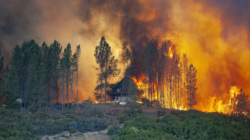Лесные пожары: меры предосторожности, правила поведения, административная ответственность